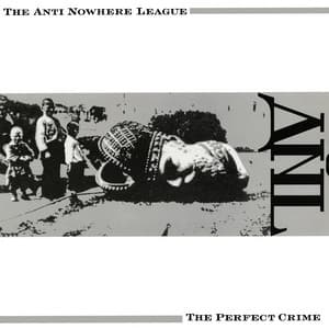 Album cover art for The Perfect Crime