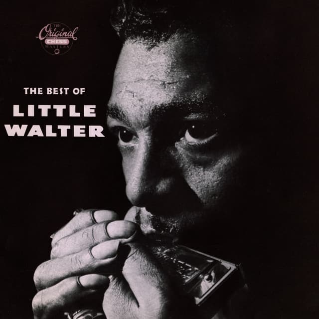 Album cover art for The Best of Little Walter