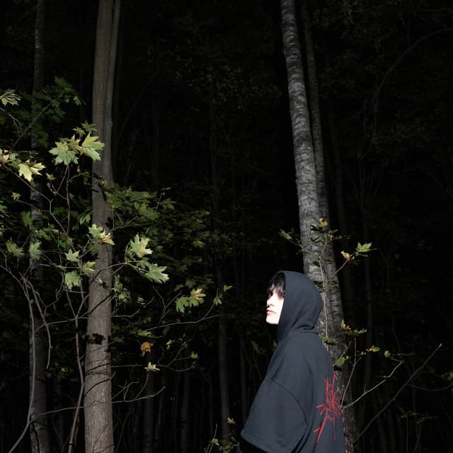 Album cover art for Пустота