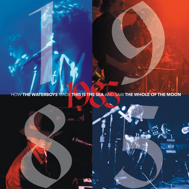 Album cover art for 1985