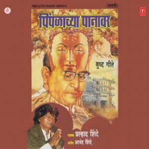 Album cover art for Pimplachya Panavar