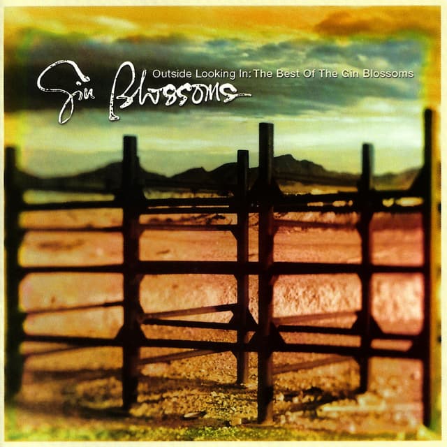 Album cover art for Outside Looking in: The Best of the Gin Blossoms