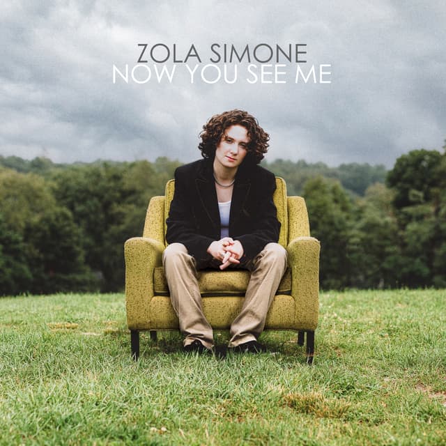 Album cover art for Now You See Me