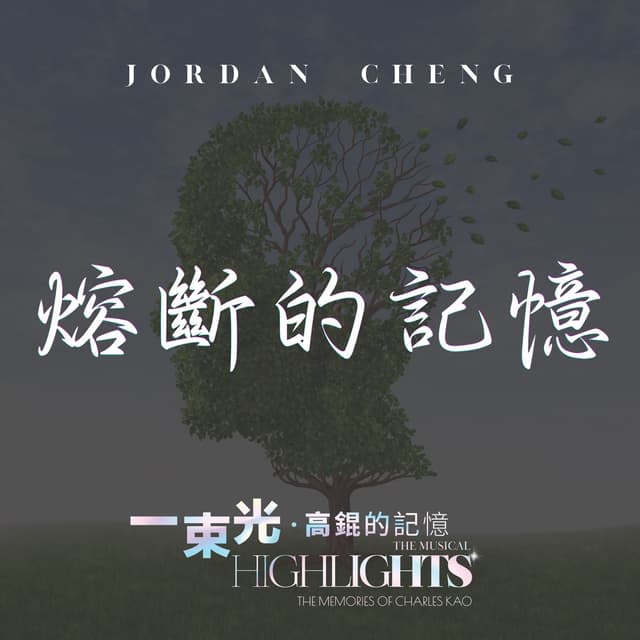 Album cover art for 熔斷的記憶