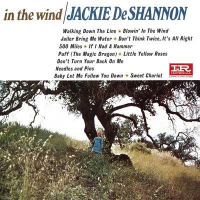 Album cover art for In The Wind