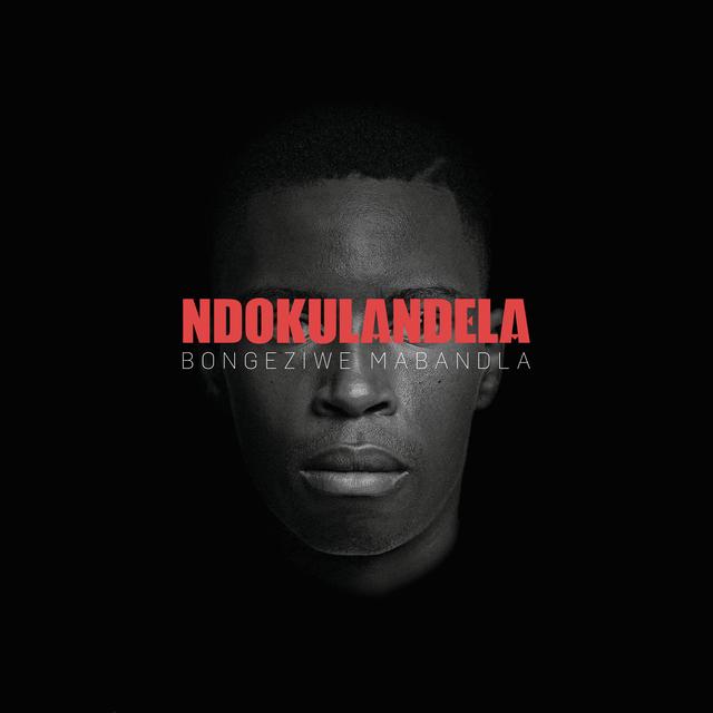 Album cover art for Ndokulandela