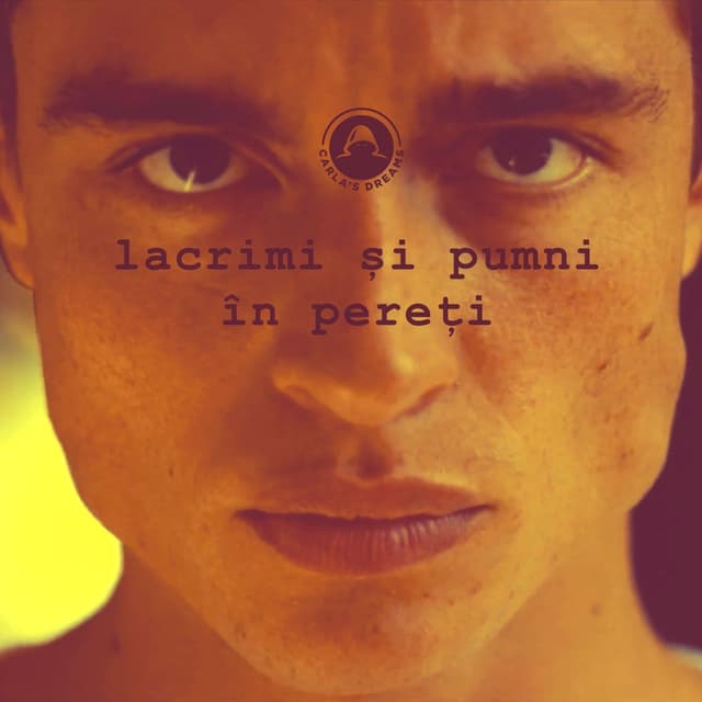 Album cover art for Lacrimi Si Pumni In Pereti