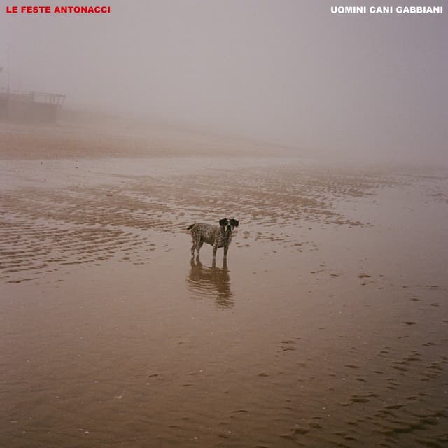 Album cover art for UOMINI CANI GABBIANI