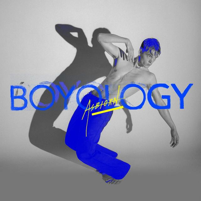 Album cover art for Boyology