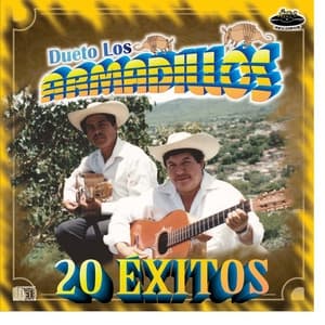 Album cover art for 20 Exitos