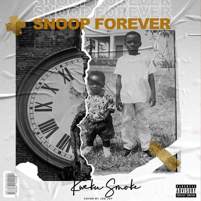 Album cover art for Snoop Forever