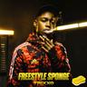 Freestyle Sponge