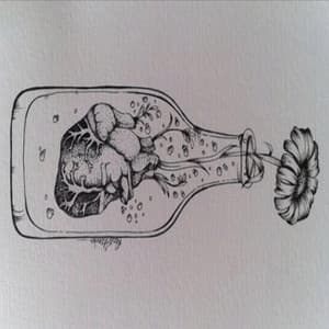 Lyric cover art