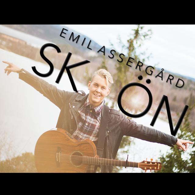 Album cover art for Skön