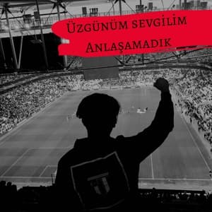 Album cover art for Üzgünüm Sevgilim Anlaşamadık (Beşiktaş)