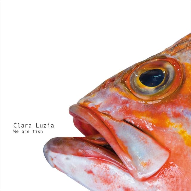Album cover art for We Are Fish