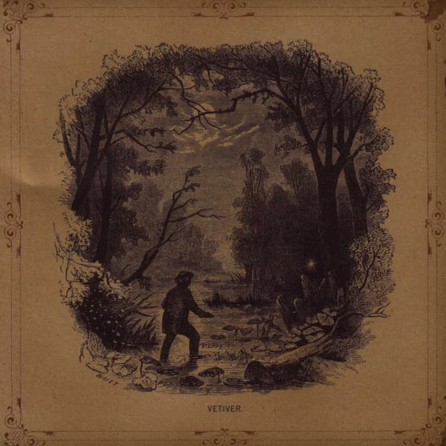 Album cover art for Vetiver