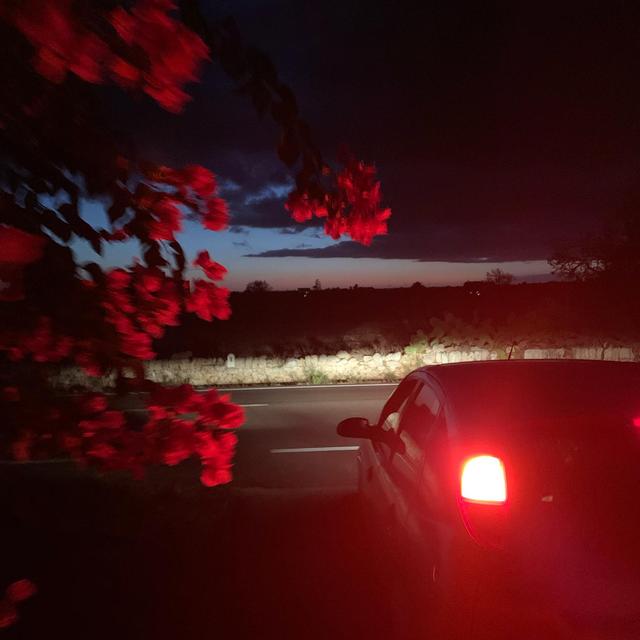 Album cover art for Set Me Free