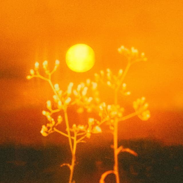 Album cover art for Nyala Langit Jingga
