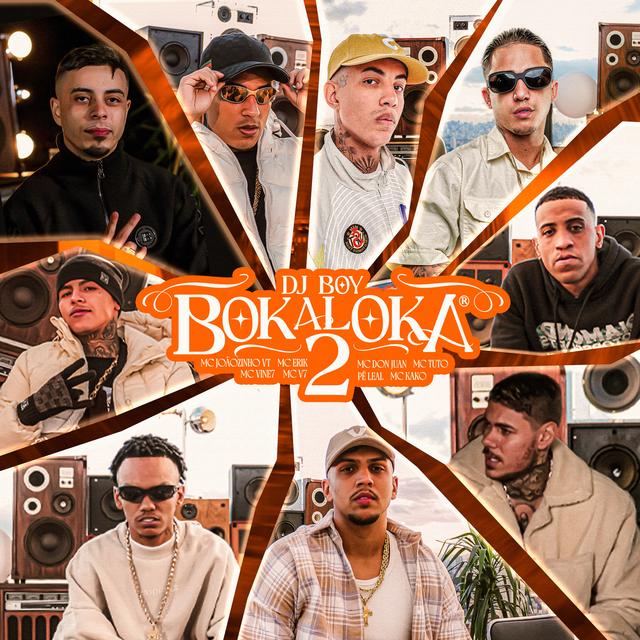 Album cover art for Bokaloka 2