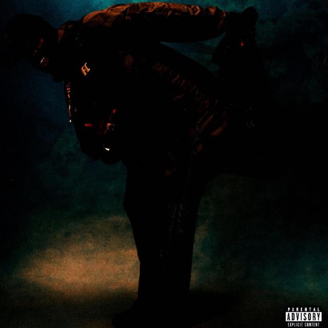 Album cover art for FINAL WARNING