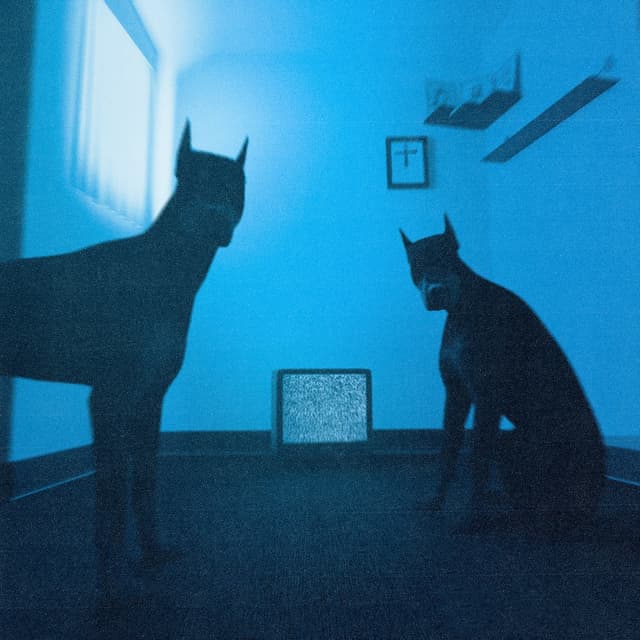 Album cover art for гуманитарная катастрофа