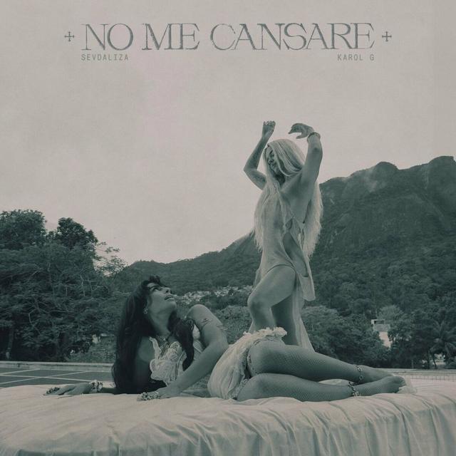 Album cover art for No Me Cansare