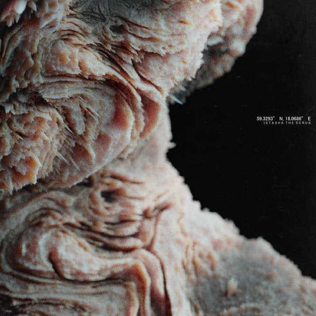 Album cover art for Sturgeon's Law