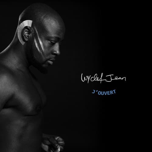 Album cover art for Ne Me Quitte Pas