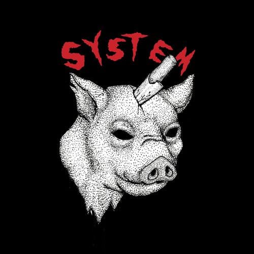 Album cover art for System