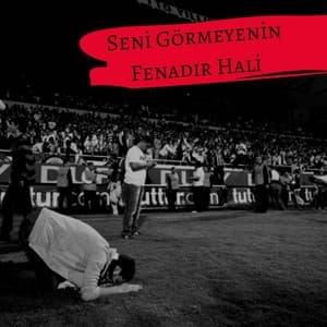 Album cover art for Seni Görmeyenin Fenadır Hali (Beşiktaş)