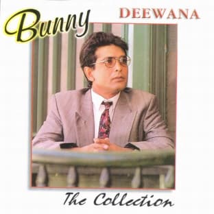 Album cover art for Deewana