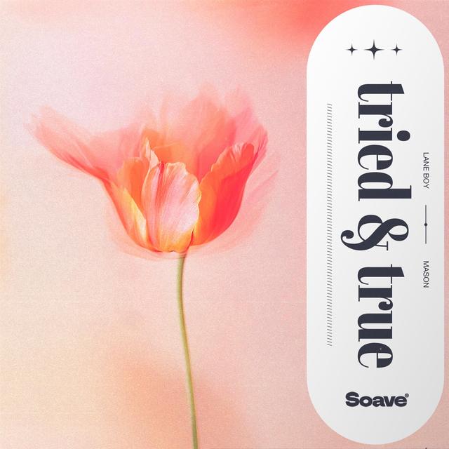 Album cover art for Tried & True