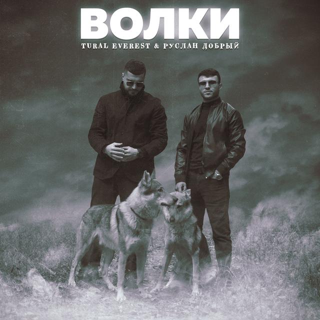 Album cover art for Волки