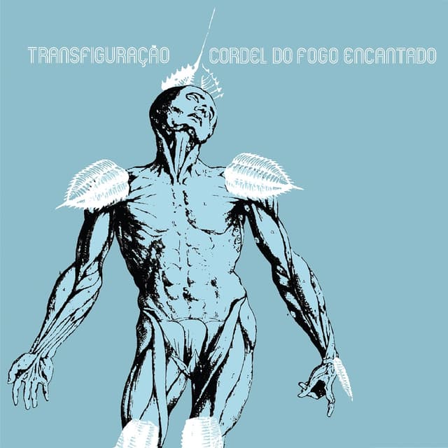 Album cover art for Transfiguração