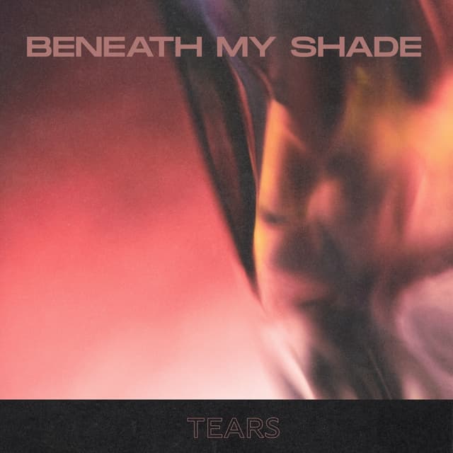 Album cover art for Tears