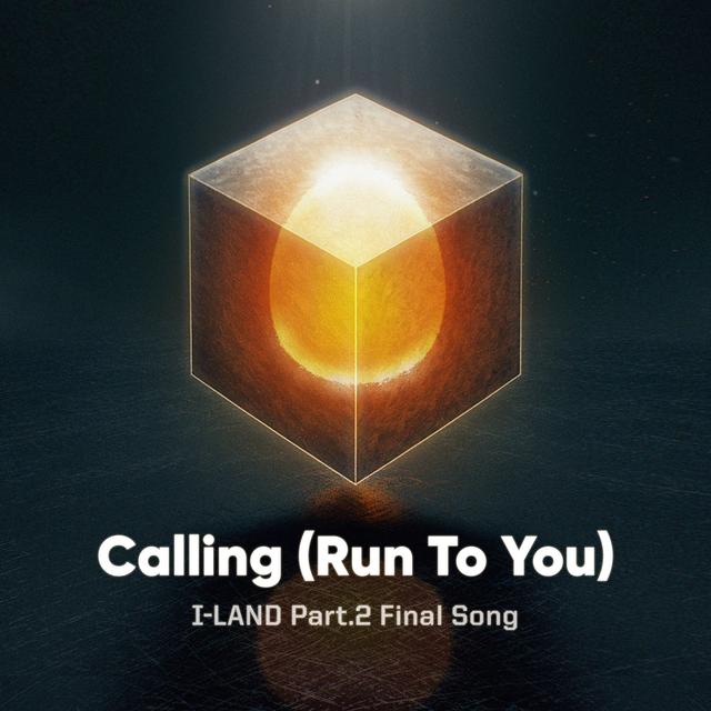 Album cover art for Calling (Run To You)