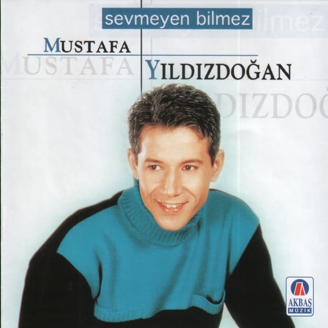 Album cover art for Sevmeyen Bilmez