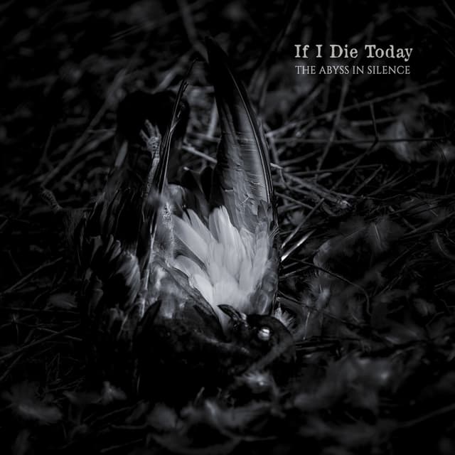 Album cover art for The Abyss In Silence