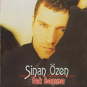Album cover art for Tek Başına