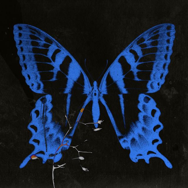 Album cover art for GANGGANGSULLAE