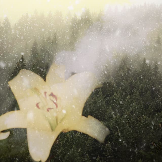 Album cover art for The Oddscape