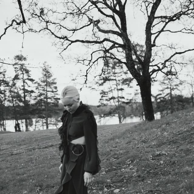 Album cover art for Pahanilmanlinnut