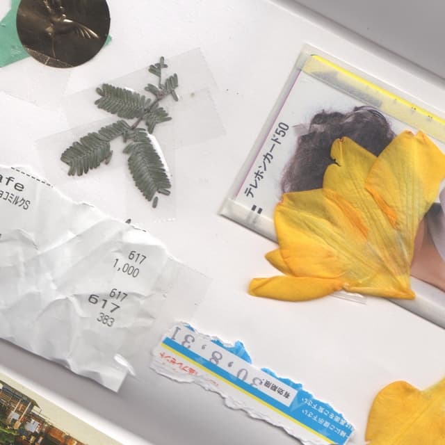 Album cover art for my summer memories