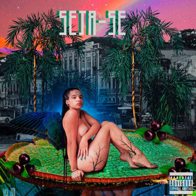 Album cover art for Seja - Se