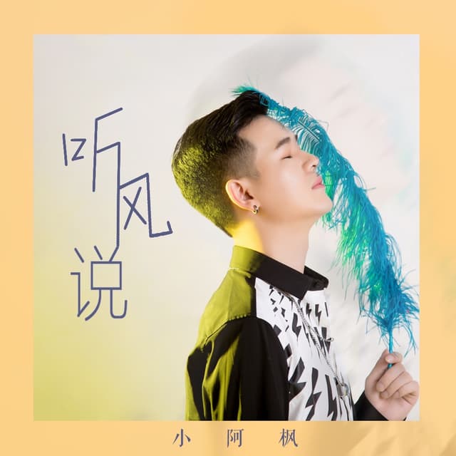 Album cover art for 听风说