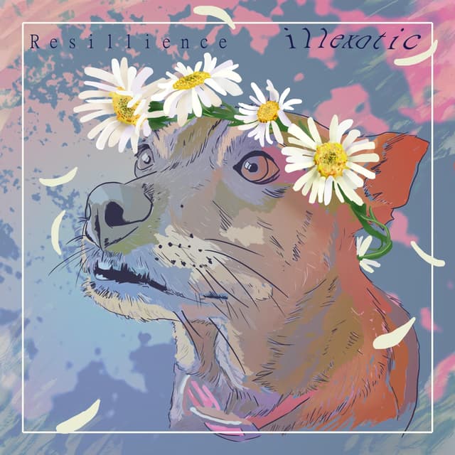 Album cover art for Resillience