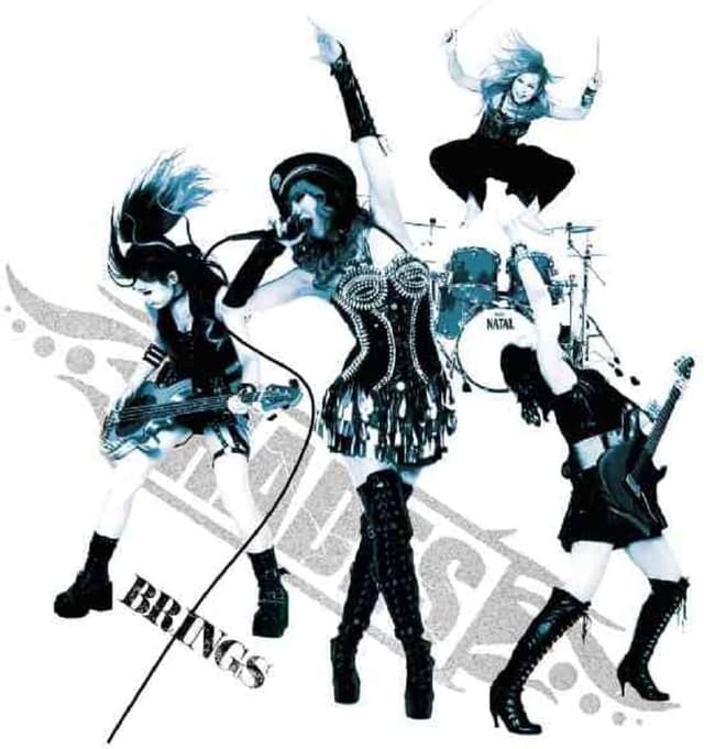 Album cover art for BRINGS
