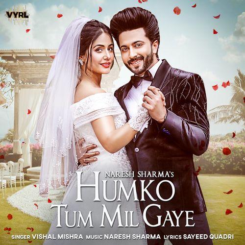 Album cover art for Humko Tum Mil Gaye