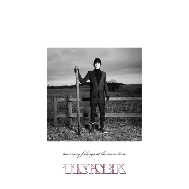 Album cover art for Too Many Feelings at the Same Time